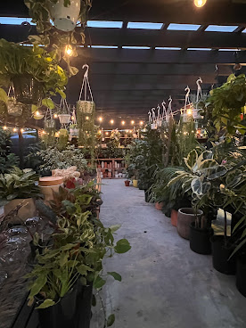 Outside Space Garden Center by null