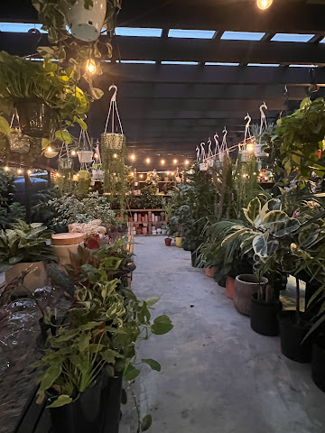 Outside Space Garden Center by null