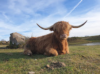 Ferme du Breuillet à Corravillers