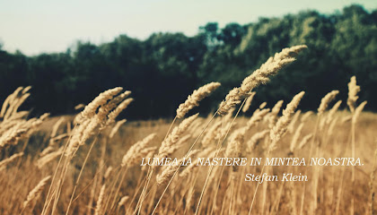 Cabinet individual de psihologie Andreea Iovita