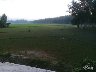 Photos of Islami Bank Bangladesh Limited, Belkuchi Branch