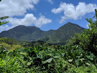 Hanalei Center