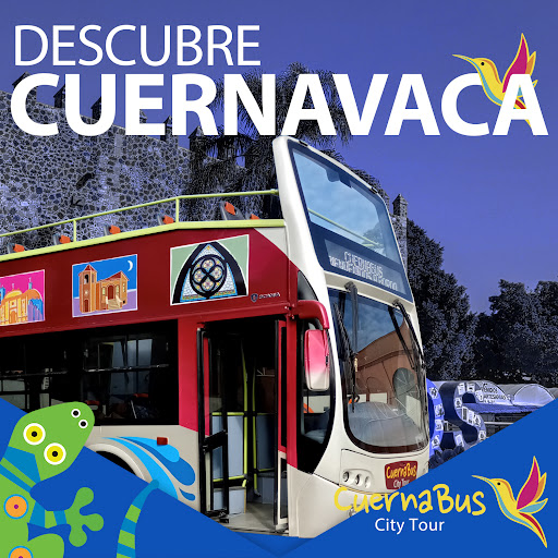 Cuernabus - Visual