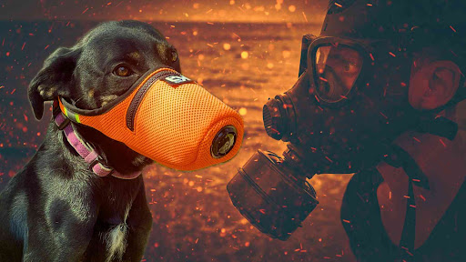 Good Air Team - Thumbnail