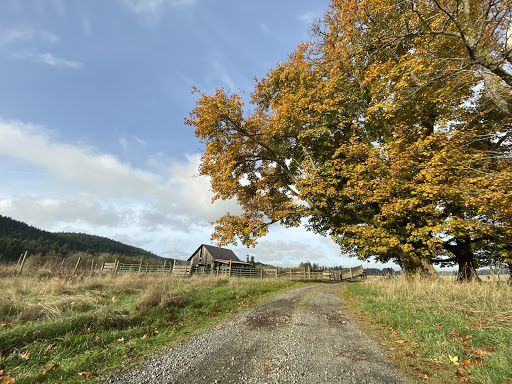 Colvin Ranch - Visual