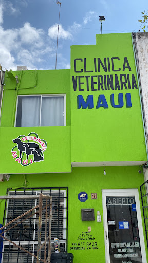 Clinica Veterinaria Maui