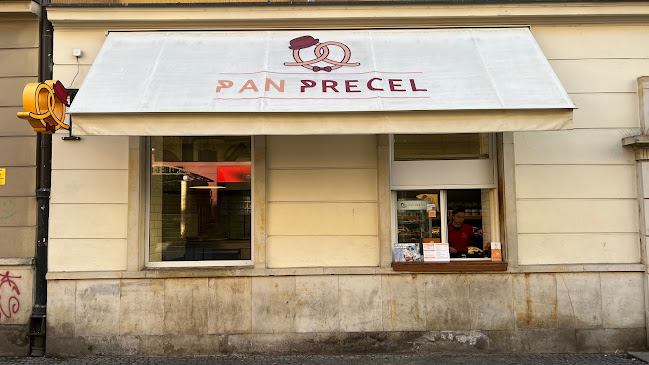 panprecel.pl