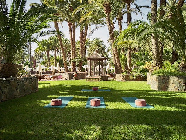 Seaside Palm Beach by null