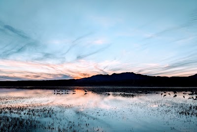 Bosque Del Apache National Wildlife Refuge Visitor Center