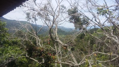 Photos of Finca Villa Nelly