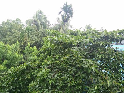 Photos of Ujan Bhati