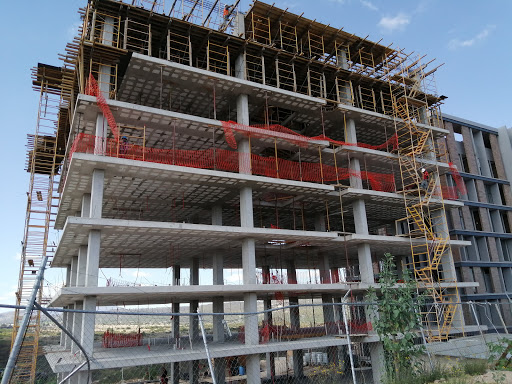 Polilosa del Bajío - Thumbnail