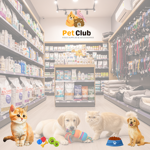 🐾 Your One-Stop Pet Destination in Panipat – Pet Club Panipat 🐾 post image
