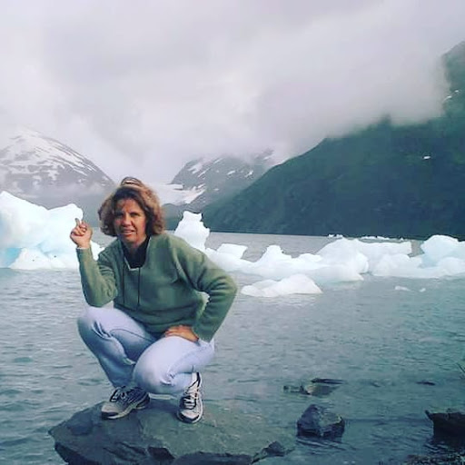 AlaskaRoadtours.com - Visual