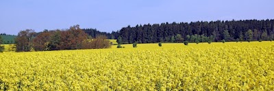 Photos of Landgenossenschaft Dittersdorf eG
