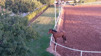 Photos of Club El Harka
