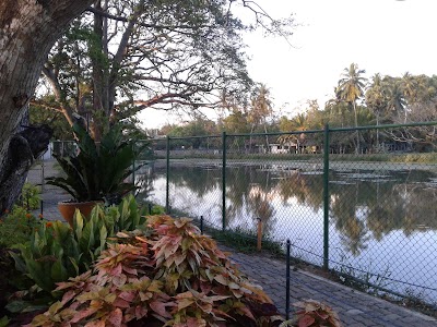 Photos of Midel Wewa Public Kids Park
