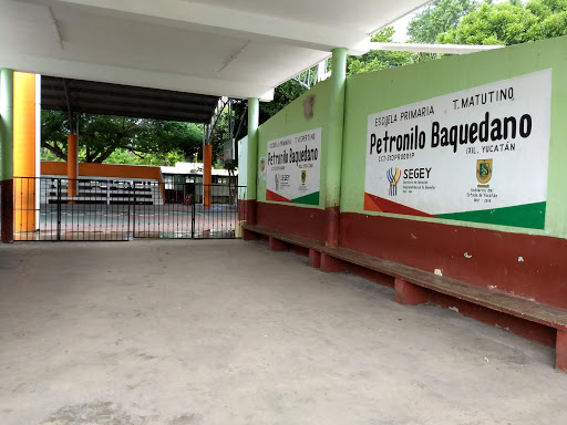 Petronilo Baquedano Concha T.V - Thumbnail
