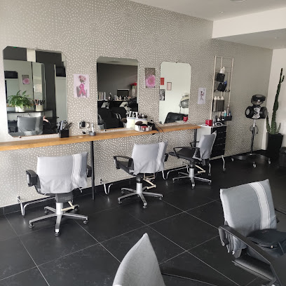 Caméléon Coiffure mixte