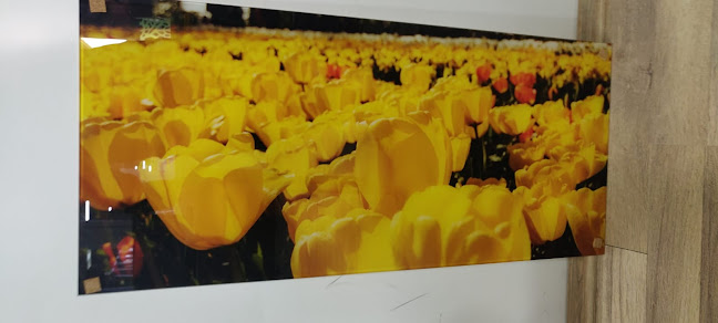 Amprenta Design Targoviste