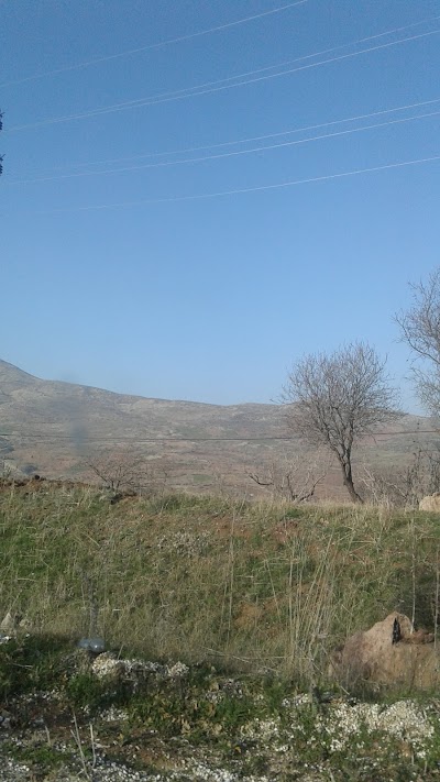 Photos of G&ouml;lbaşı Municipality