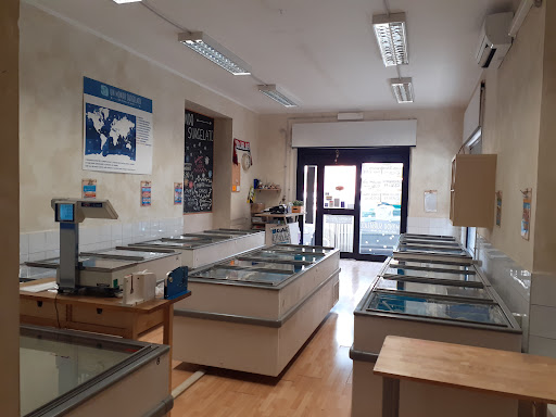 Un Mondo Surgelato