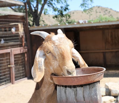 Casa Grande Trading Post