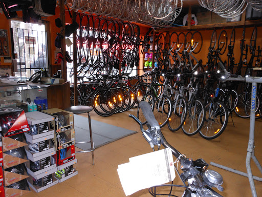 Action Cycle Sport 2 - Thumbnail