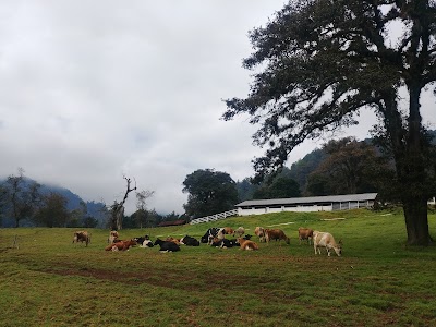 Photos of Finca Mil Amores