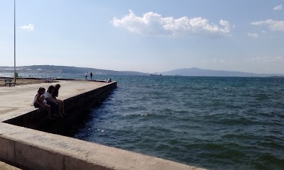 Photos of Aliaga Municipality