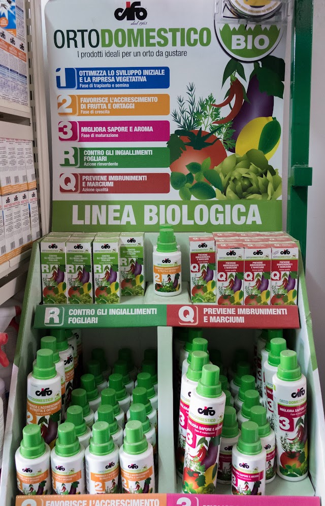 Linea Verde Srls