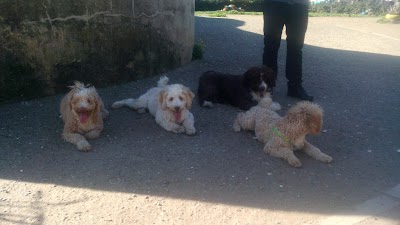 photo of Parque canino