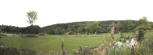 Opel Zoo