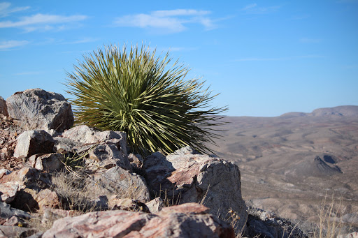 Picacho Peak Recreation Area - Organ Mountains-Desert Peaks National Monument - Thumbnail