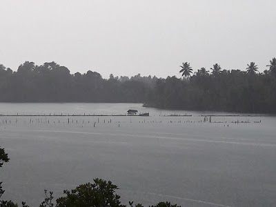 Photos of Hikka Hide Villa