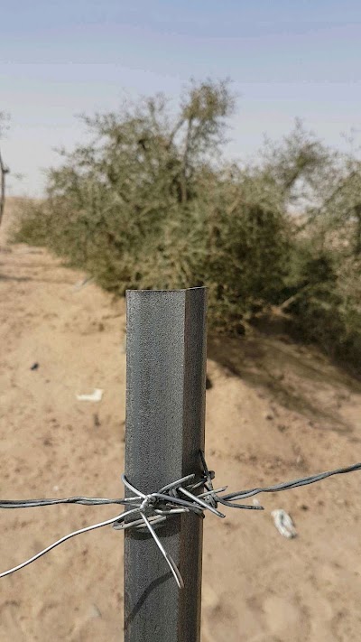 Photos of السديرات