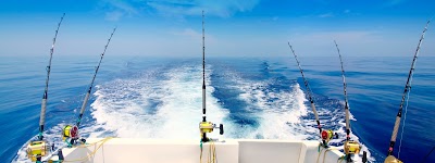 Photos of HarborWalk Charters