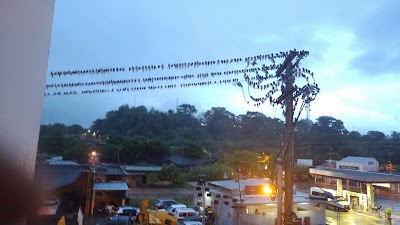 Photos of Bomba JAV