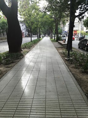 Paseo BV., Author: Gonzalo F. Tapiero Gallo