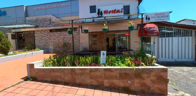Comentarios y opiniones de Hotel Don Quijote