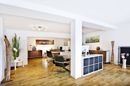 Allianz Versicherung Vladimir Mesaric