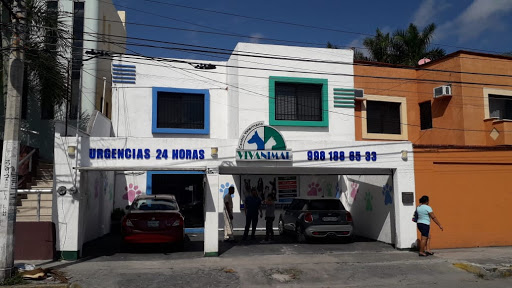 VETERINARIA VIVANIMAL "" LA LUNA ""