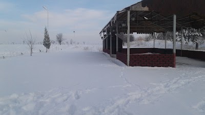 Photos of Tp - Y&uuml;celler Petrol