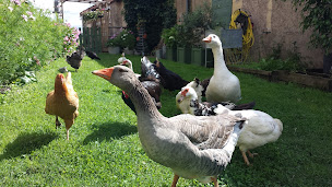 Photo n°12 de Chambre d'hôtes à la campagne Nevers à Challuy (Chambre d'hôtes)