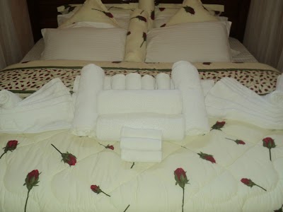 Photos of Swara Safari Hotel