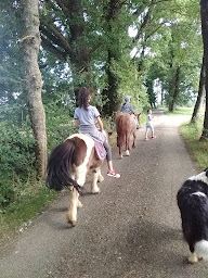 Photo n°9 de Camping de la ferme du Soulié à Villeneuve (Camping à la ferme)