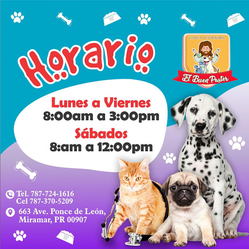 Clinica Veterinaria El Buen Pastor - Thumbnail