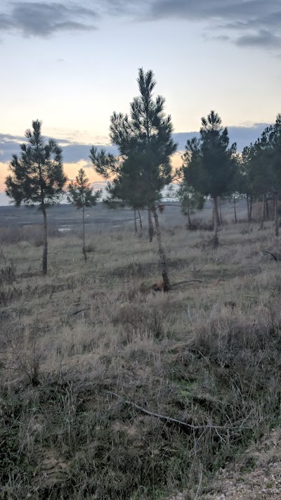 Kuşyeri Yarım Adası Doğa Parkı