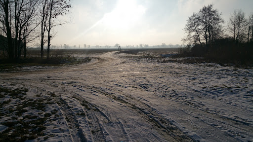 Reitplatz Groß Machnow - Thumbnail