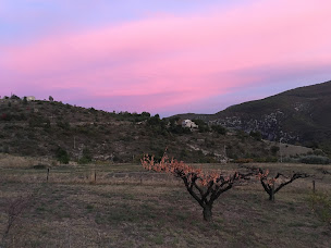 Photo n°31 de Auberge 